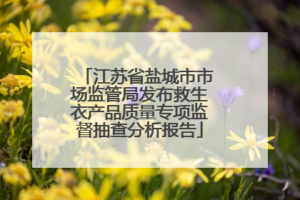江苏省盐城市市场监管局发布救生衣产品质量专项监督抽查分析报告