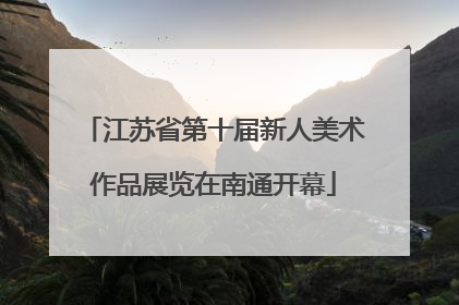江苏省第十届新人美术作品展览在南通开幕