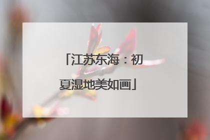 江苏东海：初夏湿地美如画