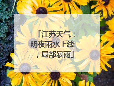 江苏天气：明夜雨水上线，局部暴雨