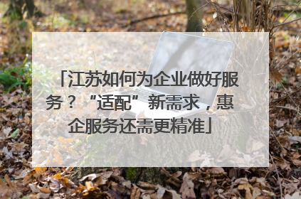 江苏如何为企业做好服务？“适配”新需求，惠企服务还需更精准