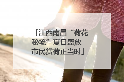 江西南昌“荷花秘境”夏日盛放 市民赏荷正当时