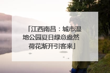 江西南昌：城市湿地公园夏日绿意盎然 荷花渐开引客来