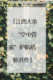 江西大余：“空中管家”护航稻虾共作