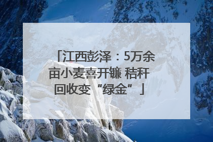 江西彭泽：5万余亩小麦喜开镰 秸秆回收变“绿金”