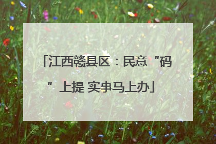 江西赣县区：民意“码”上提 实事马上办