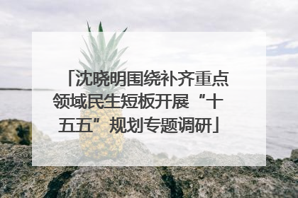 沈晓明围绕补齐重点领域民生短板开展“十五五”规划专题调研