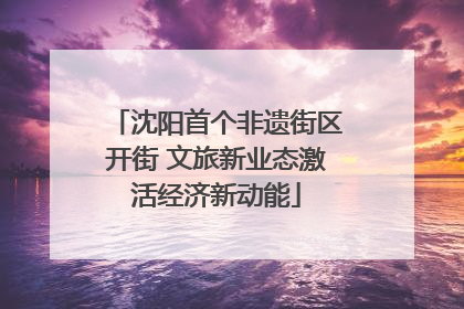 沈阳首个非遗街区开街 文旅新业态激活经济新动能