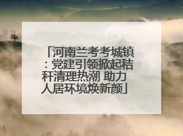 河南兰考考城镇：党建引领掀起秸秆清理热潮 助力人居环境焕新颜