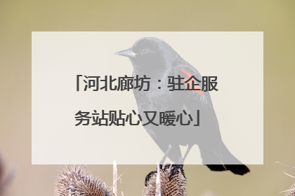 河北廊坊：驻企服务站贴心又暖心