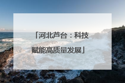 河北芦台：科技赋能高质量发展