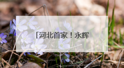 河北首家！永辉超市“学习胖东来”自主调改店6月10日开门迎客