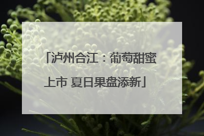 泸州合江：葡萄甜蜜上市 夏日果盘添新