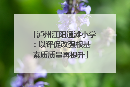 泸州江阳通滩小学：以评促改强根基 素质质量再提升