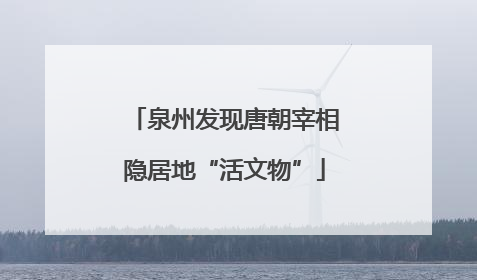 泉州发现唐朝宰相隐居地“活文物”