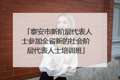 泰安市新阶层代表人士参加全省新的社会阶层代表人士培训班
