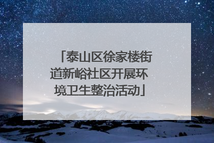 泰山区徐家楼街道新峪社区开展环境卫生整治活动