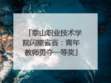 泰山职业技术学院闪耀省赛：青年教师勇夺一等奖