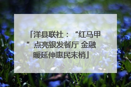 洋县联社：“红马甲”点亮银发餐厅 金融暖延伸惠民末梢