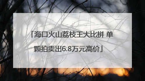 海口火山荔枝王大比拼 单颗拍卖出6.8万元高价