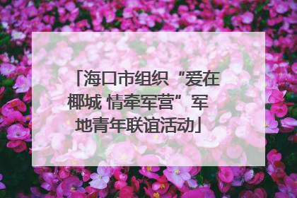 海口市组织“爱在椰城 情牵军营”军地青年联谊活动