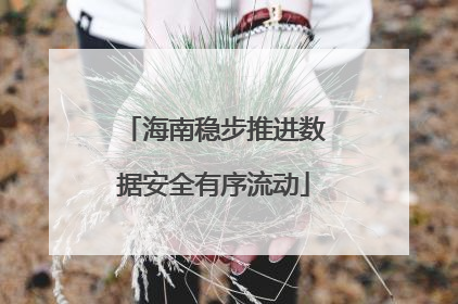 海南稳步推进数据安全有序流动