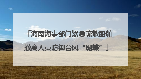海南海事部门紧急疏散船舶撤离人员防御台风“蝴蝶”