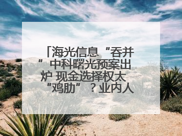 海光信息“吞并”中科曙光预案出炉 现金选择权太“鸡肋”？业内人士：企业不想大量现金流出