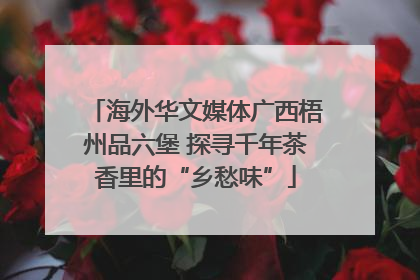 海外华文媒体广西梧州品六堡 探寻千年茶香里的“乡愁味”