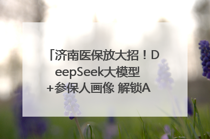 济南医保放大招！DeepSeek大模型+参保人画像 解锁AI医保管家新体验