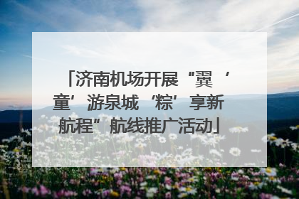 济南机场开展“翼‘童’游泉城‘粽’享新航程”航线推广活动