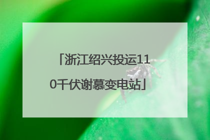 浙江绍兴投运110千伏谢慕变电站