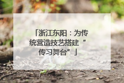 浙江东阳：为传统营造技艺搭建“传习舞台”