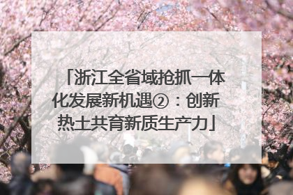浙江全省域抢抓一体化发展新机遇②：创新热土共育新质生产力
