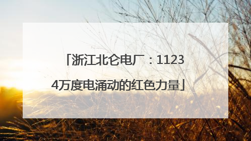 浙江北仑电厂：11234万度电涌动的红色力量