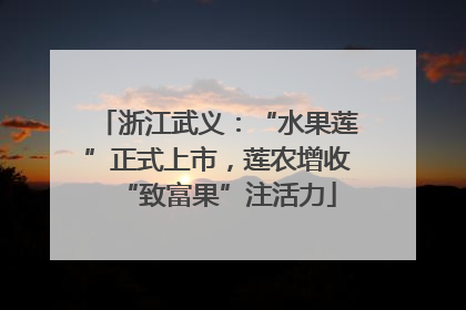 浙江武义：“水果莲”正式上市，莲农增收“致富果”注活力
