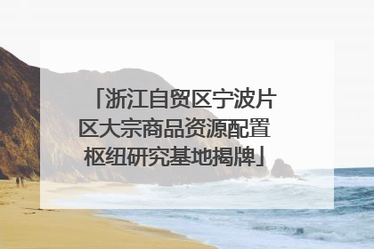浙江自贸区宁波片区大宗商品资源配置枢纽研究基地揭牌