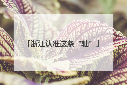 浙江认准这条“轴”