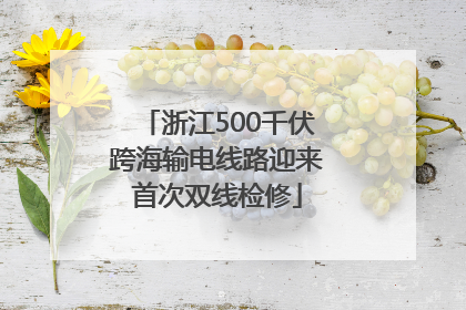 浙江500千伏跨海输电线路迎来首次双线检修