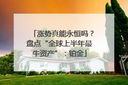 涨势真能永恒吗？盘点“全球上半年最牛资产”：铂金