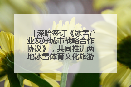 深哈签订《冰雪产业友好城市战略合作协议》，共同推进两地冰雪体育文化旅游高质量发展