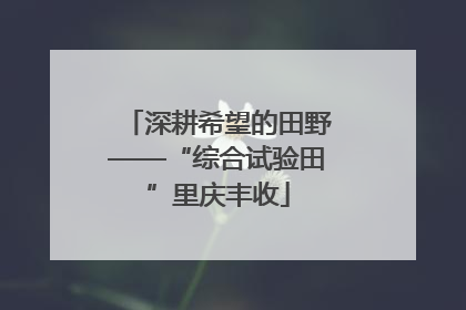 深耕希望的田野——“综合试验田”里庆丰收
