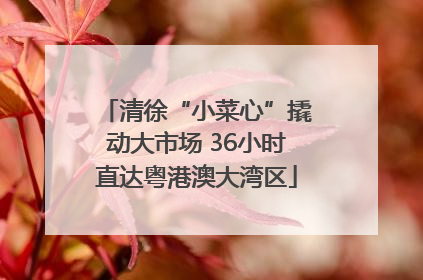 清徐“小菜心”撬动大市场 36小时直达粤港澳大湾区