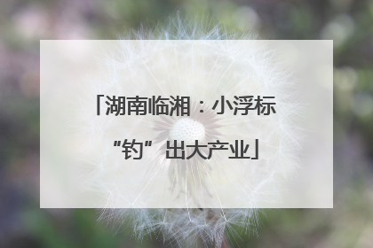 湖南临湘：小浮标“钓”出大产业