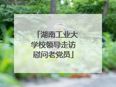 湖南工业大学校领导走访慰问老党员