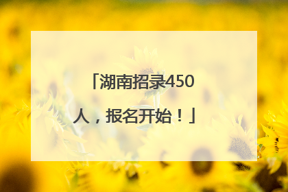 湖南招录450人，报名开始！