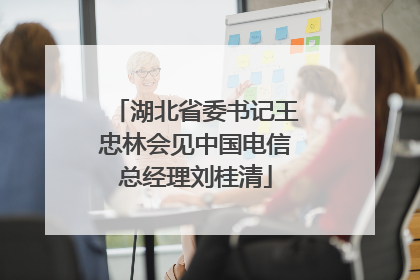 湖北省委书记王忠林会见中国电信总经理刘桂清