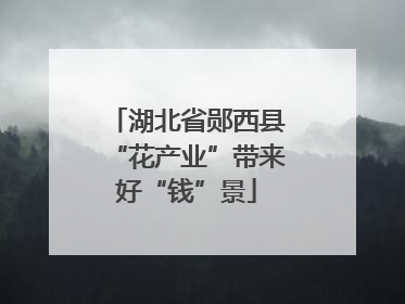 湖北省郧西县“花产业”带来好“钱”景