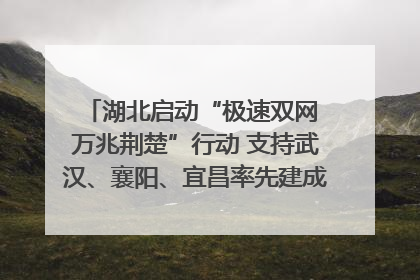 湖北启动“极速双网 万兆荆楚”行动 支持武汉、襄阳、宜昌率先建成“万兆先锋城市”