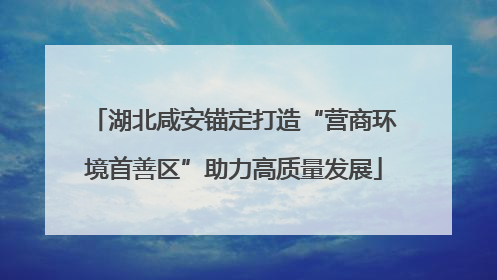 湖北咸安锚定打造“营商环境首善区”助力高质量发展